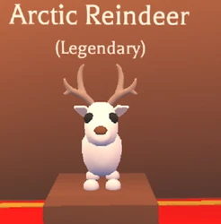 Arctic Reindeer