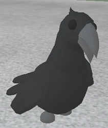 Crow
