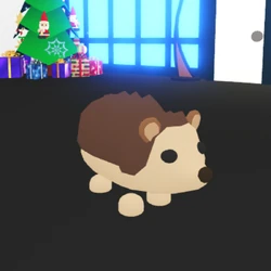 Hedgehog