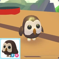 Owl