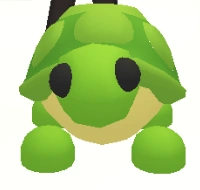 Turtle