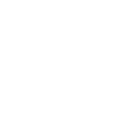 Spicy Bee