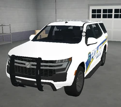 Police Baton