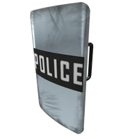Riot Shield