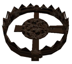 Black Hole Trap