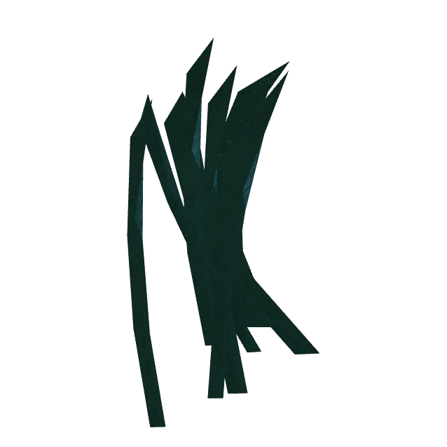 Tảo Biển Sea Kelp (x2)